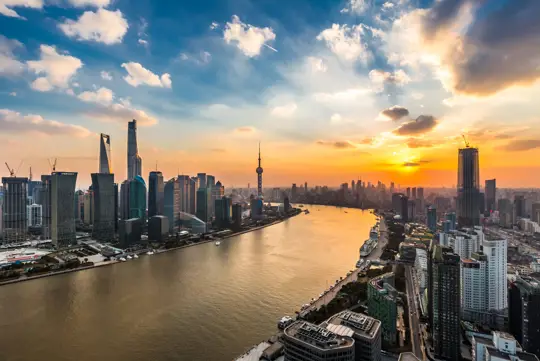 Our international opportunities